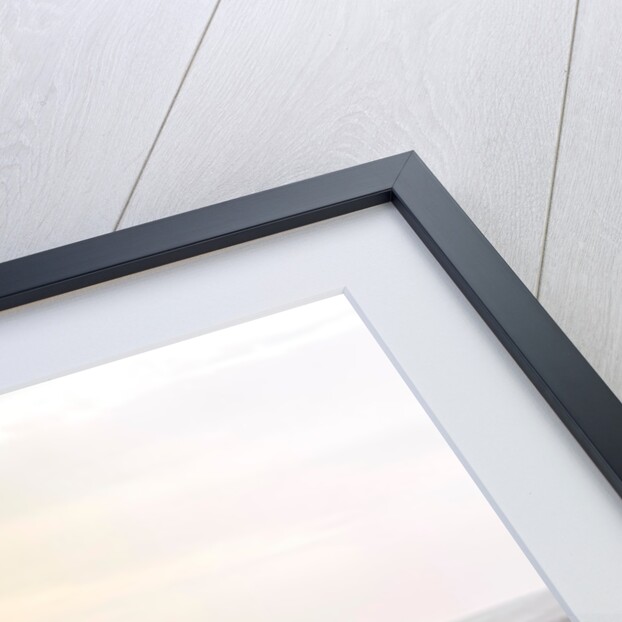 Eiffel Tower from Montmartre by Assaf Frank